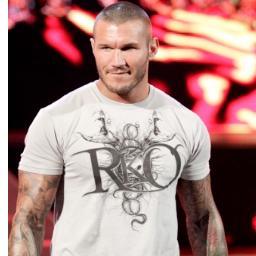 Anybody who is a fan of randy orton follow me