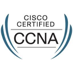 Microsoft Certified Solutions Expert (MCSE) 

Cisco Certified Network Associate Routing & Switching (CCNA)
