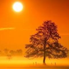 life is a river always flowing. do not hold onto things. work hard.-Siddhartha Gautama
