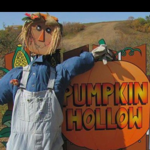 PumpkinHollowFF's profile picture. hey there everyone!! its zak Haring and Kim haring and we're running the twitter account! follow us and we'll follow back :D
