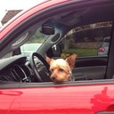 Jen Welsh - @_jengoround - Twitter