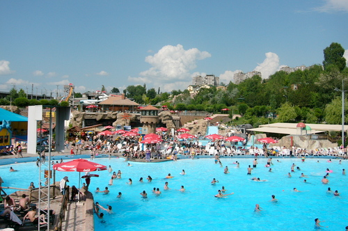 SerzhAbrahamyan's profile picture. 