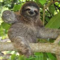 slothmaster123's profile picture. What.