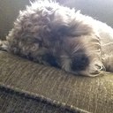 Danny Pate - @volts55 - Twitter