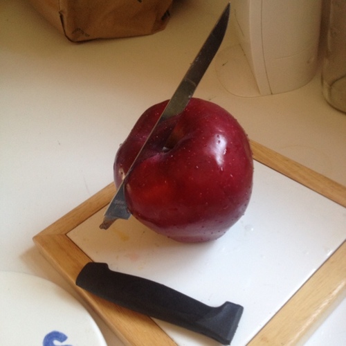 stephler16's profile picture. 