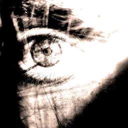 ReproduceDevil's profile picture. Воспитание души.