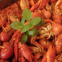 CuisineByAnna's profile picture. Τα μαγειρευτά της Άννας. Ένα ιστολόγιο με σπιτικές παραδοσιακές συνταγές. Traditional Greek Food Recipes