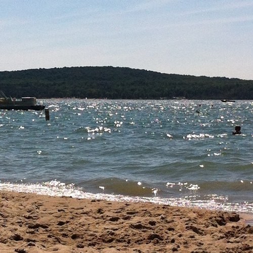 MindyBohnet's profile picture. 