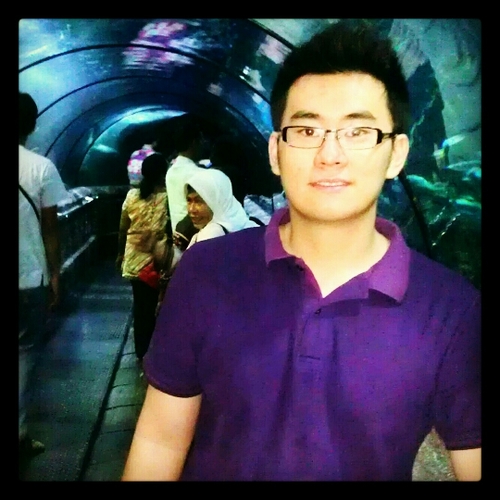 stevedareson's profile picture. 