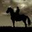 moosamahrouqi's profile image