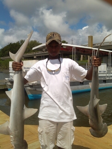 rickeylathan's profile picture. a country boy can survive