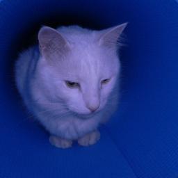 keremEke's profile picture. ...