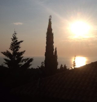 tasi777's profile picture. 