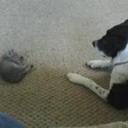 Paul States - @nc_snake - Twitter