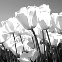 Per Arne Jacobsen - @PerArneJacobsen - Twitter