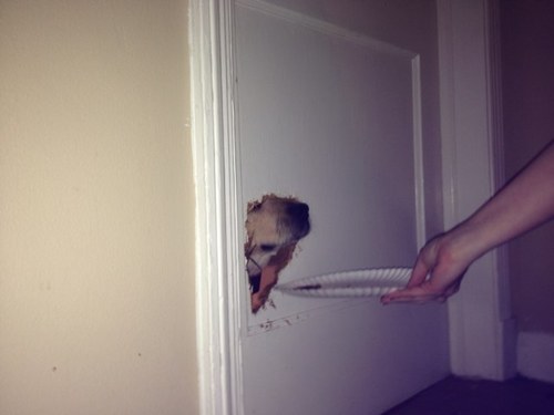 jarrod367's profile picture. 