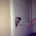 jarrod gardner - @jarrod367 - Twitter