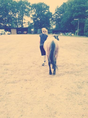horse ~ pentrop ~ friendss ~ groep 8 ~ winnetoee ~ TH1D