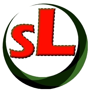 Swagglander's profile picture. When you place yourself in between an irresponsible lifestyle of  gangster and a cowardly a boring lifestyle of a gentleman, you get a Swagger. Smart Achievers