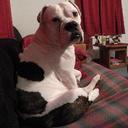 travis meadows - @jussay1n - Twitter