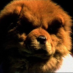 MajoSaSchoos's profile picture. Edición y realización audiovisual.