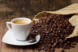 OrganoGrown's profile picture. Organo Grown is a gourmet organic coffee distributor out of Calabasas, CA