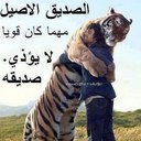 محمد (@2323Mohmmed) Twitter