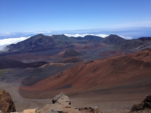 UNM_Lobo03's profile picture. I'm an adult with Spina Bifida and practicing athletic trainer, livin' life.