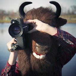 thekongpro's profile picture. sights and sounds.