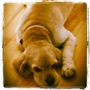 katherine ann boll - @boll_katherine - Twitter