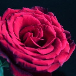 BintM_'s profile picture. اللهم إني اسألك حسن الخاتمة