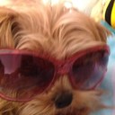 Debbie Reese - @reese_debbie - Twitter