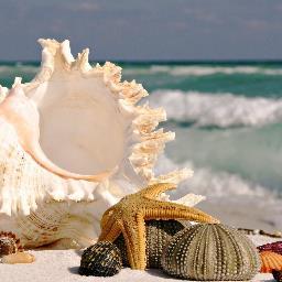 AmyHensley2's profile picture. 