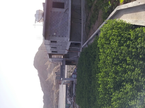 AlghammariSs's profile picture. 