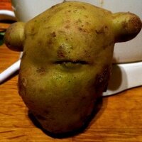 mashpotatohead (@mashpotatohead) 's Twitter Profile