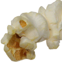 popSalado's profile picture. All you need is pop