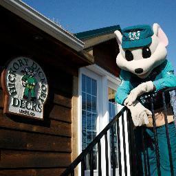 HDDdeckcleaning's profile picture. 