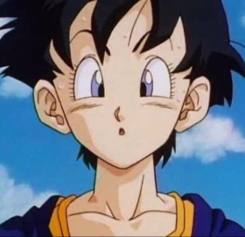 the_videl's profile picture. 