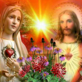 AbaGuillermo03's profile picture. 