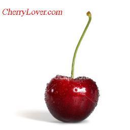 PT_Domains's profile picture. Master of my domains