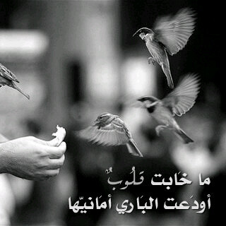 seemo277's profile picture. 