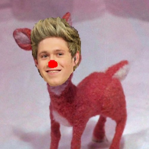 CHlCKENMCNIALLS's profile picture. 