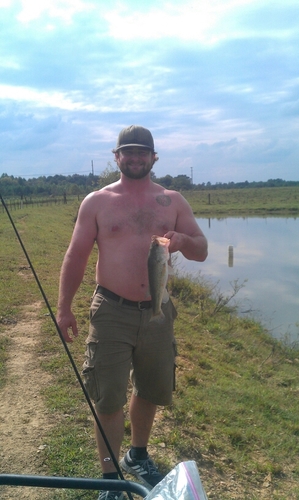 cfrunge's profile picture. 