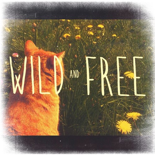 sallyrogs's profile picture. 