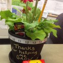 Allison Beecroft - @allisonbeecroft - Twitter