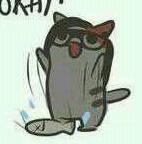 XarachnidsGrip's profile picture. Yo Ho Its A Pirates Life For Me Its my Duty To Please That Booty!