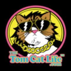 TheTomCatLife's profile picture. My goal is to make you smile, giggle and laugh through the use of photos, videos, and entertaining commentary. http://t.co/D30hHliWSR