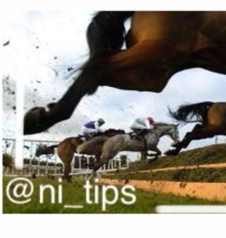 Ni_tips's profile picture. 