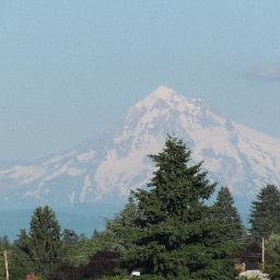 liz_hadley's profile picture. 