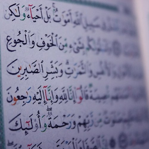 اللهم اجعل ثوابه لرويده و جواهر و ندى الدويرج و والدتهم فوزيه الشهاب اللهُمّ أرحمهم و أغفر لهم اللهُمّ أنزِل نوراً من نورِك يُنير عليهم قبورهم و يؤنس وحشتهم